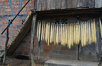 Panama Hat Straw Drying