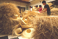 Sorting Panama hats