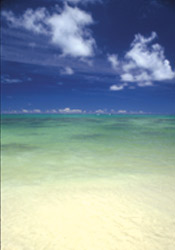 Waimanalo Beach